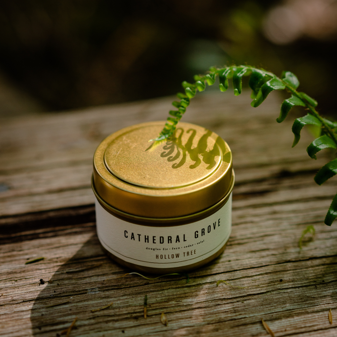 Hollow Tree Candles Cathedral Grove Travel Size 4oz