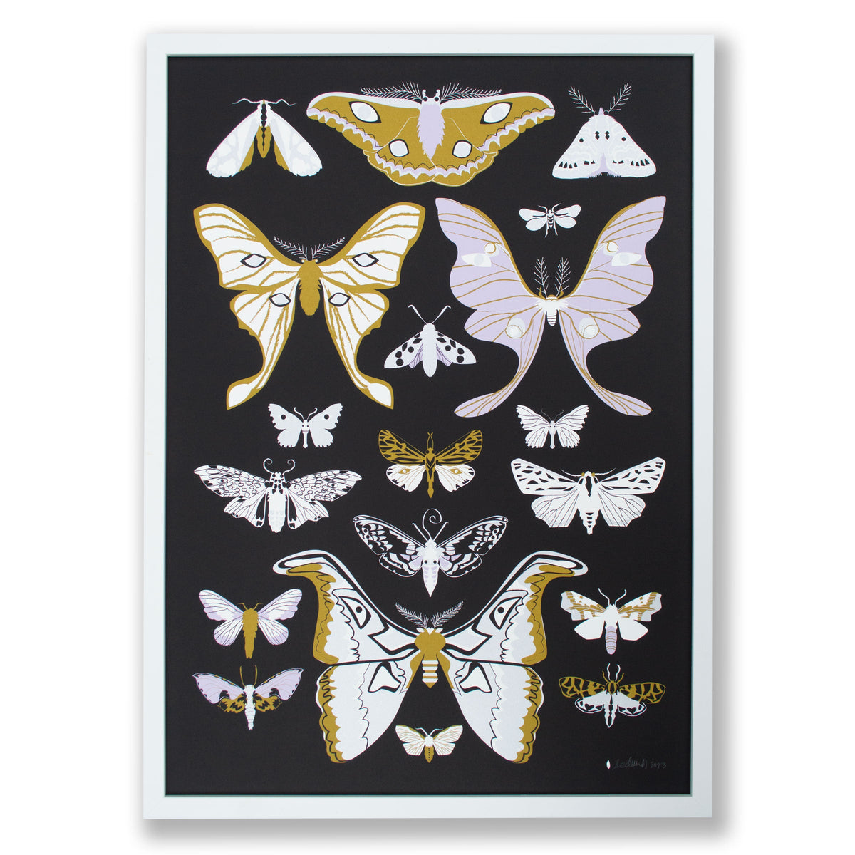 Banquet Moths Print