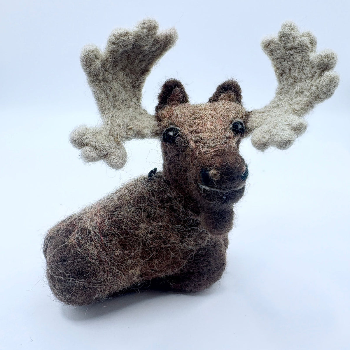 Spectacled Bear Conservation - Moose