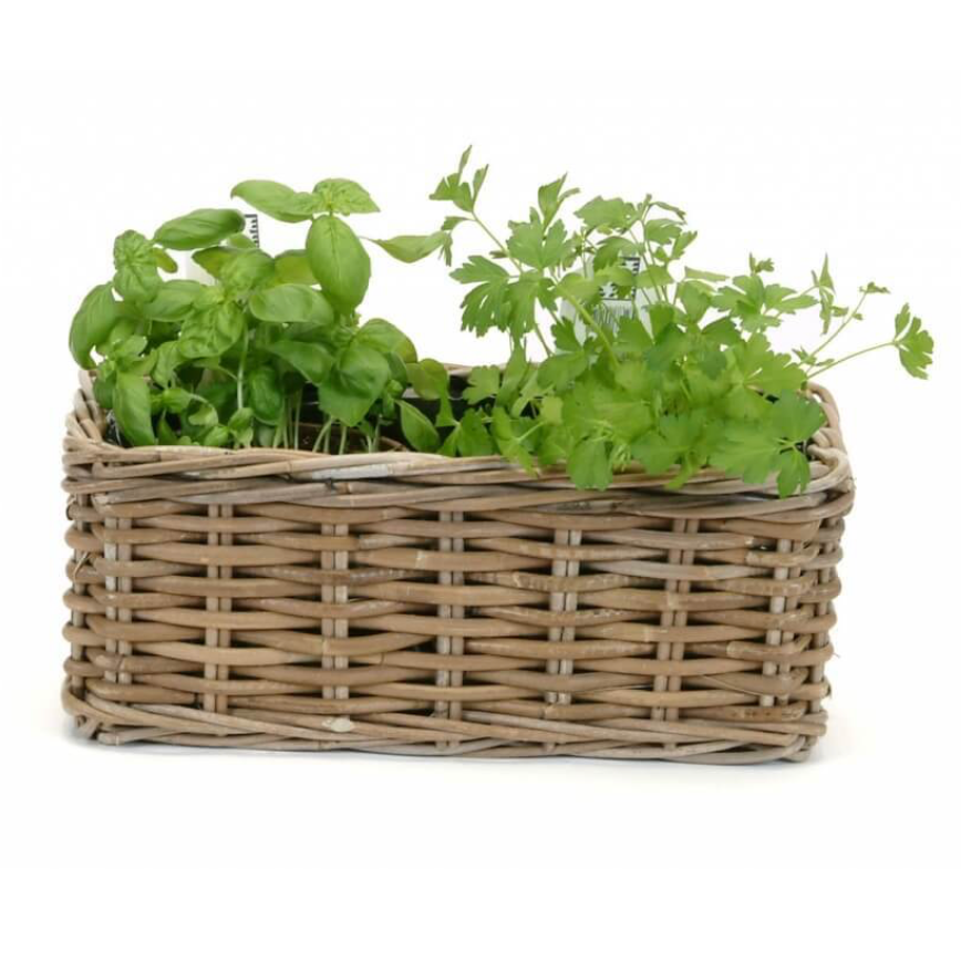Bacon Basketware Kubu lined planter basket in grey-washed chunky rattan weave, Patina Vancouver