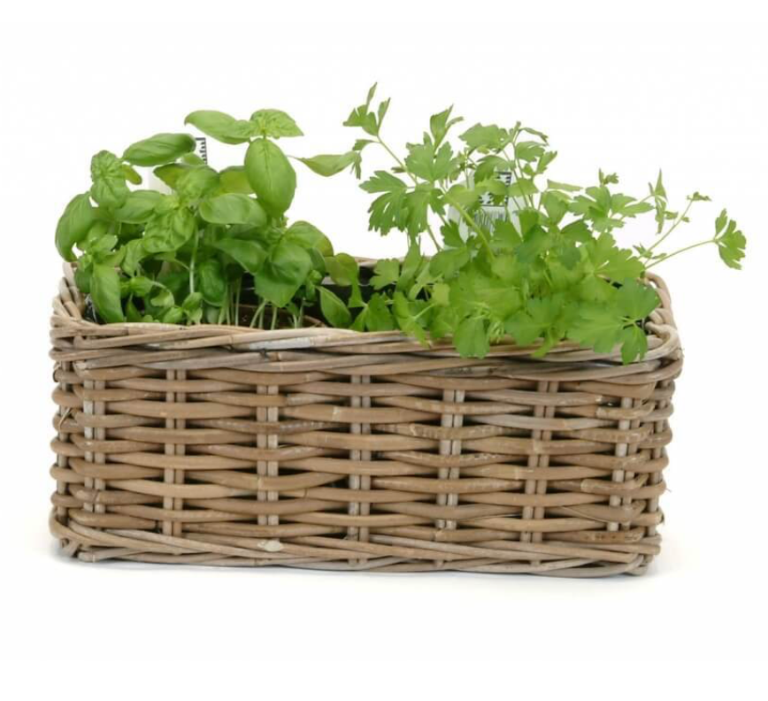 Bacon Basketware Ltd - Kuba Planter Basket - Baskets