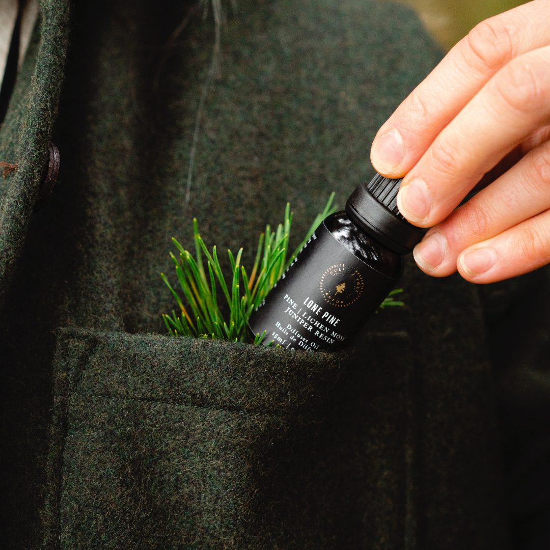 Hollow Tree Candle Lone Pine diffuser oil in a 15 ml bottle, Patina Vancouver