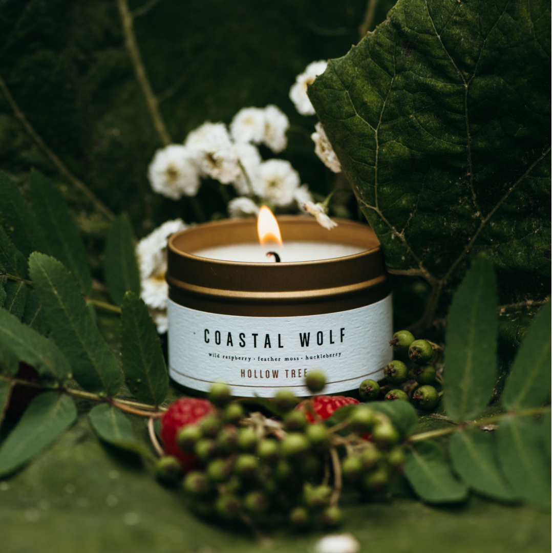 Hollow Tree Candles Coastal Wolf Travel Size 4oz
