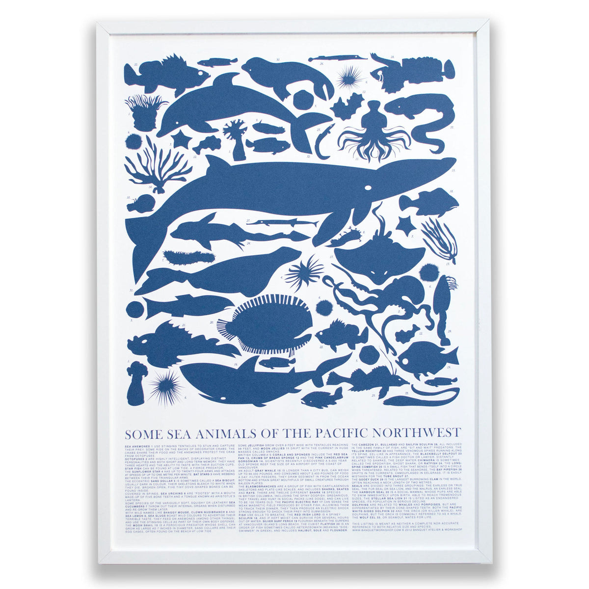 Banquet Sea Animals of the Pacific Northwest print