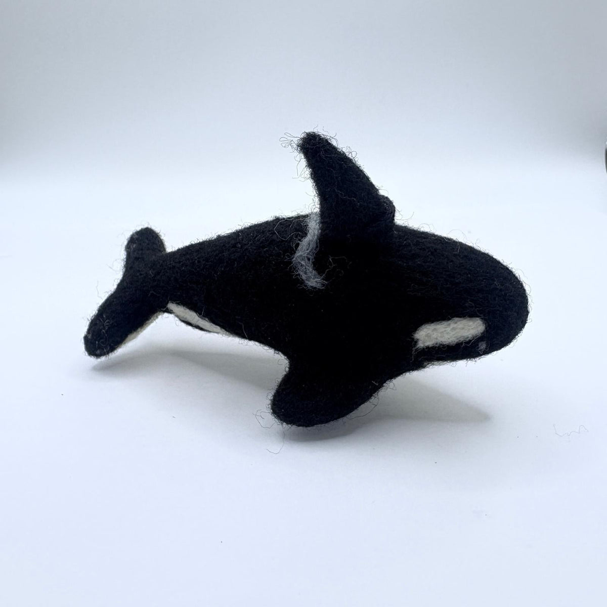 Spectacled Bear Conservation - Orca
