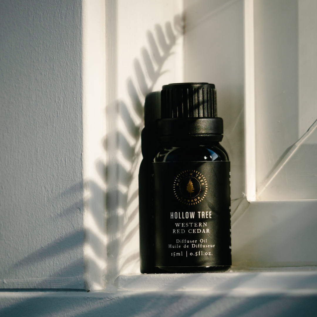 Hollow Tree Candle diffuser oil in a 15 ml bottle, shown in Western Red Cedar, Patina Vancouver