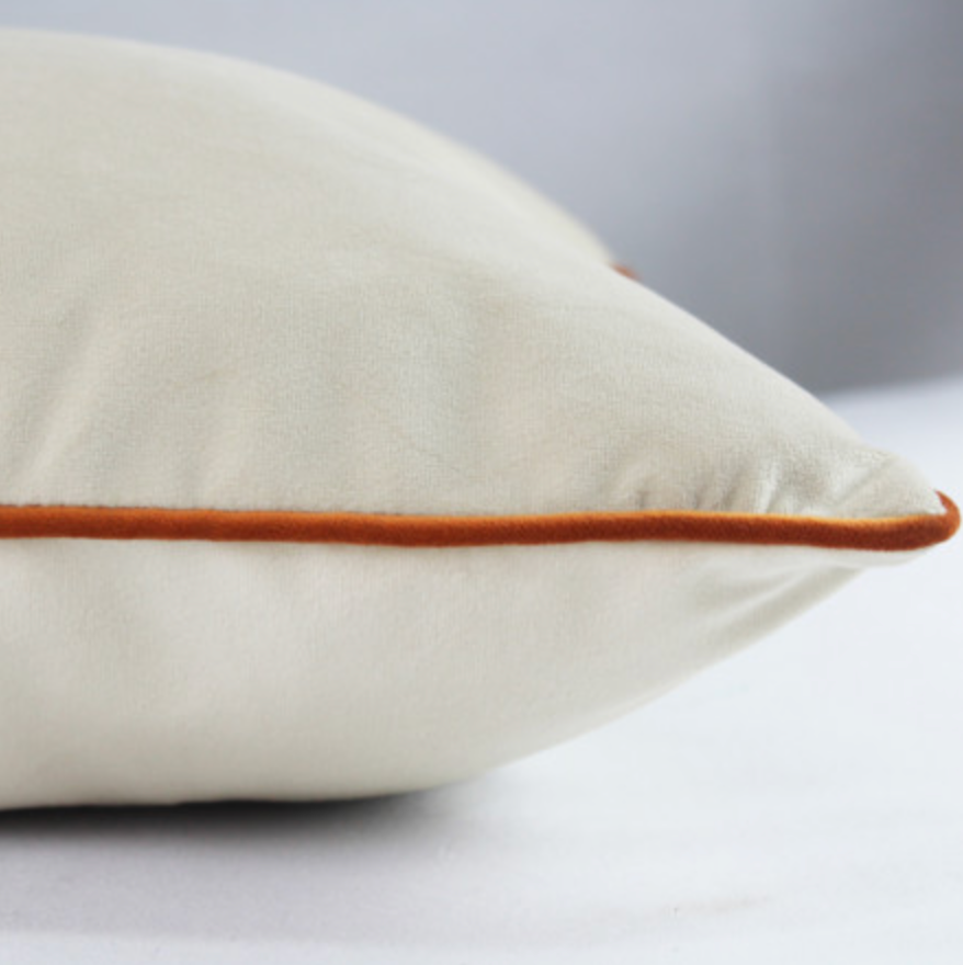Garnier-Thiebaut Velour Cushion